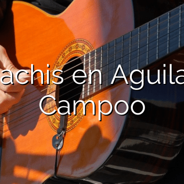 Mariachis en Aguilar de Campoo