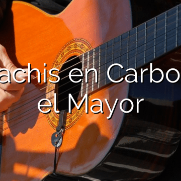 Mariachis en Carbonero el Mayor