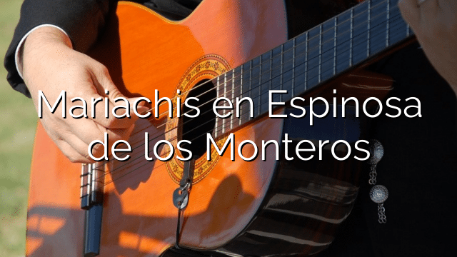 Mariachis en Espinosa de los Monteros