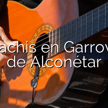 Mariachis en Garrovillas de Alconétar