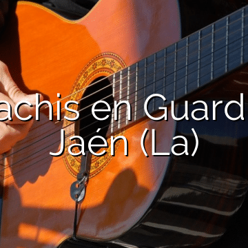 Mariachis en Guardia de Jaén (La)