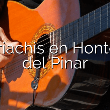 Mariachis en Hontoria del Pinar