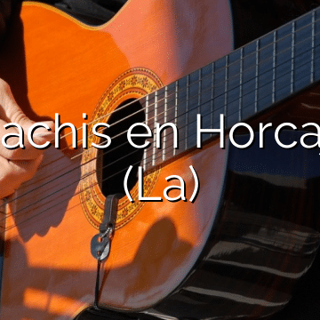 Mariachis en Horcajada (La)