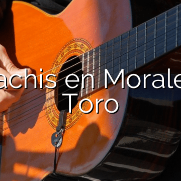 Mariachis en Morales de Toro