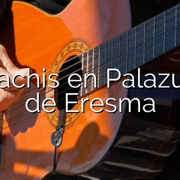 Mariachis en Palazuelos de Eresma
