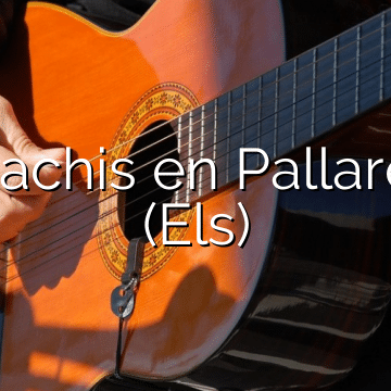Mariachis en Pallaresos (Els)