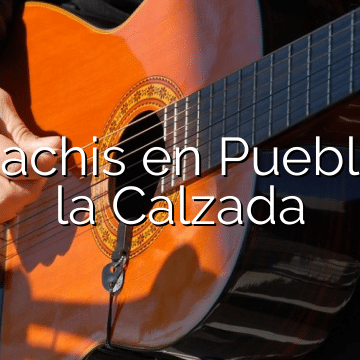Mariachis en Puebla de la Calzada