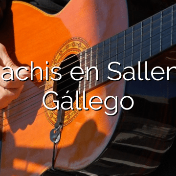 Mariachis en Sallent de Gállego