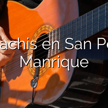Mariachis en San Pedro Manrique